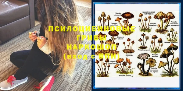 спайс Володарск