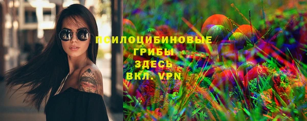 PSILOCYBIN Тихвин