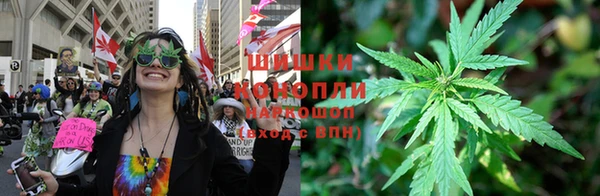 ГАЛЛЮЦИНОГЕННЫЕ ГРИБЫ Волосово