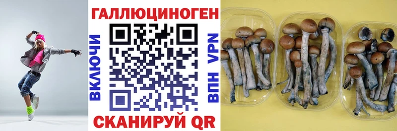 Псилоцибиновые грибы мухоморы  OMG tor  Вольск 